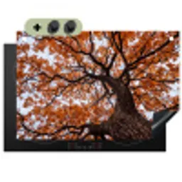 Boom - Bladerdak - Herfst - Oranje - Sfeervol Inductie beschemer met haakjes klein -3d
