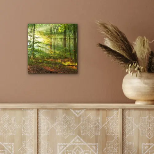Zon - Bos - Bomen - Natuur - Herfst aluminium wit klein -sfeer4