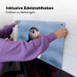 Papegaaiduiker - Portret - Natuur Inductie beschemer met haakjes klein -ky-ophangen-de