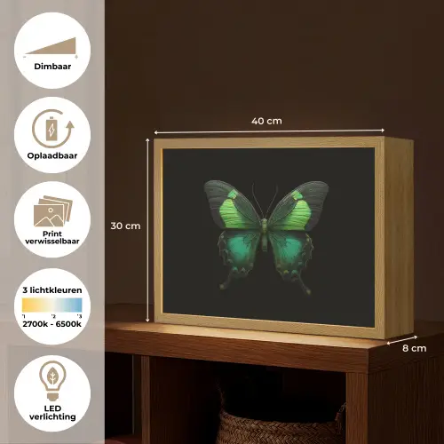Vlinder - Groen - Opvallend Light Box met batterij (Wandlamp) middel -USP_websiteoverzichtNL