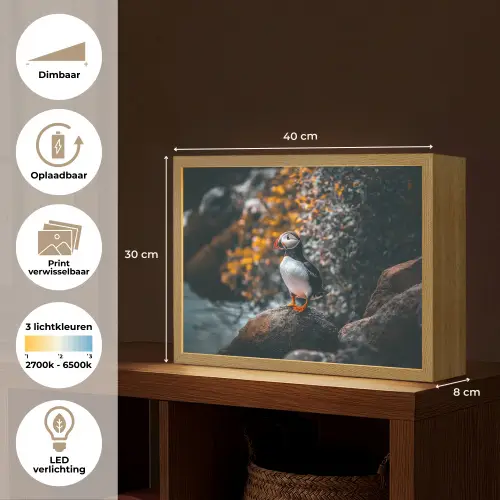 Papegaai - Vogel - Rots - Wit Light Box met batterij (Wandlamp) middel -USP_websiteoverzichtNL