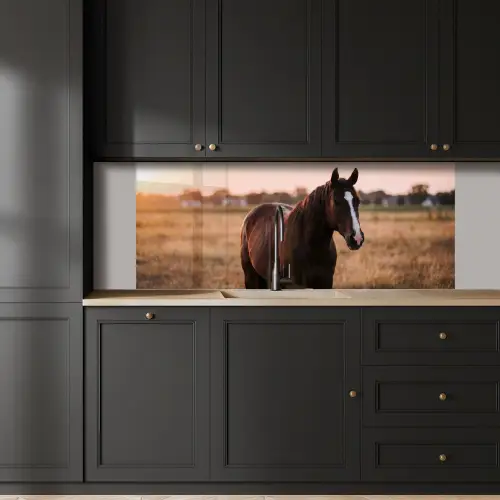Paard - Zonsondergang - Bruin keuken achterwand 2 middel -sfeer1