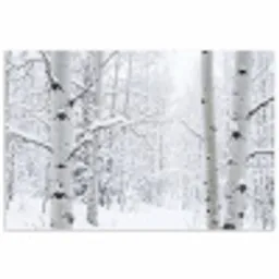 Berkenbomen - Sneeuw - Winter - Bos - Wit poster papier klein -3d