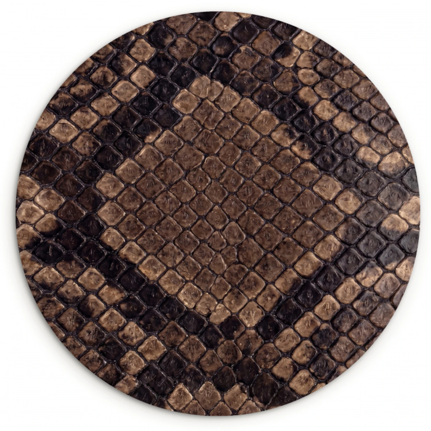 Python - Schubben - Brons Wandcirkel kunststof plaat 5mm dik klein -3d