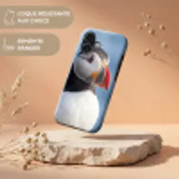 Papegaaiduiker - Portret - Natuur Toughcase MagSafe Apple iPhone 17 klein -USP_RandenV_FR