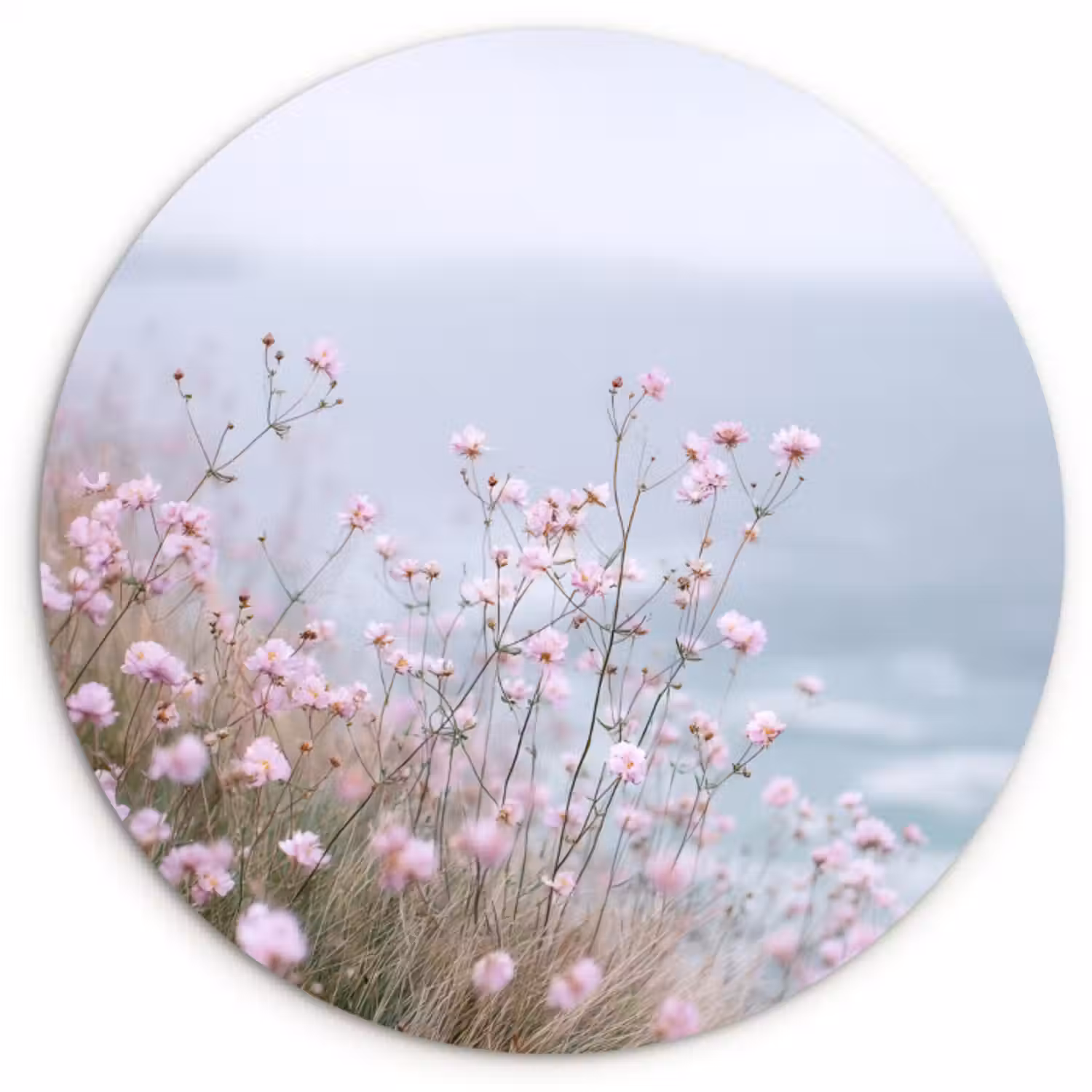 Muurcirkel - Klif - Bloemen - Zee - Roze