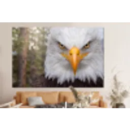 Amerikaans - Zeearend - Portret - Geel forex 5mm xxl -bovenbank