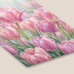 Tulpen - Veld - Lente - Roze fotolijst zwart zonder passe partout klein -zsfeer6