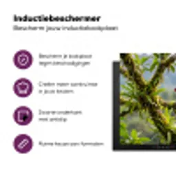 Toekan - Jungle - Natuur - Kleurrijk Inductie beschermer vinyl 3mm klein -zzzzzzz-cc-usp