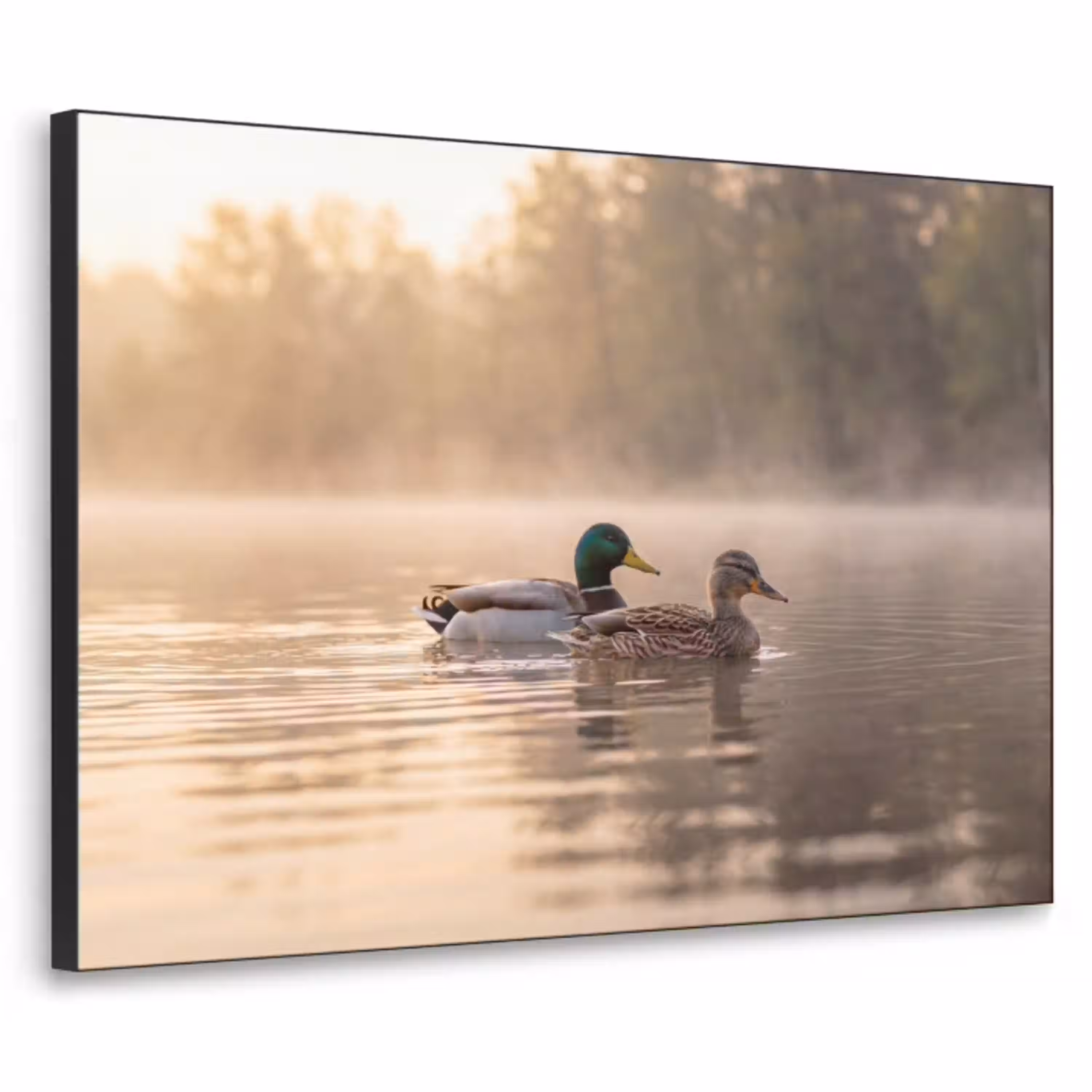 Eenden - Water - Mist - Natuur Textielframe zwart klein -3d