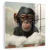 Aap - Dieren - Bad - Schuim plexiglas 5mm klein -zzzproduct_nieuw