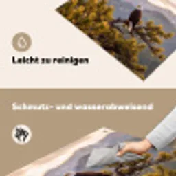 Zeearend - Boom - Bergen - Groen Inductie beschemer met haakjes klein -ky-schoon-de