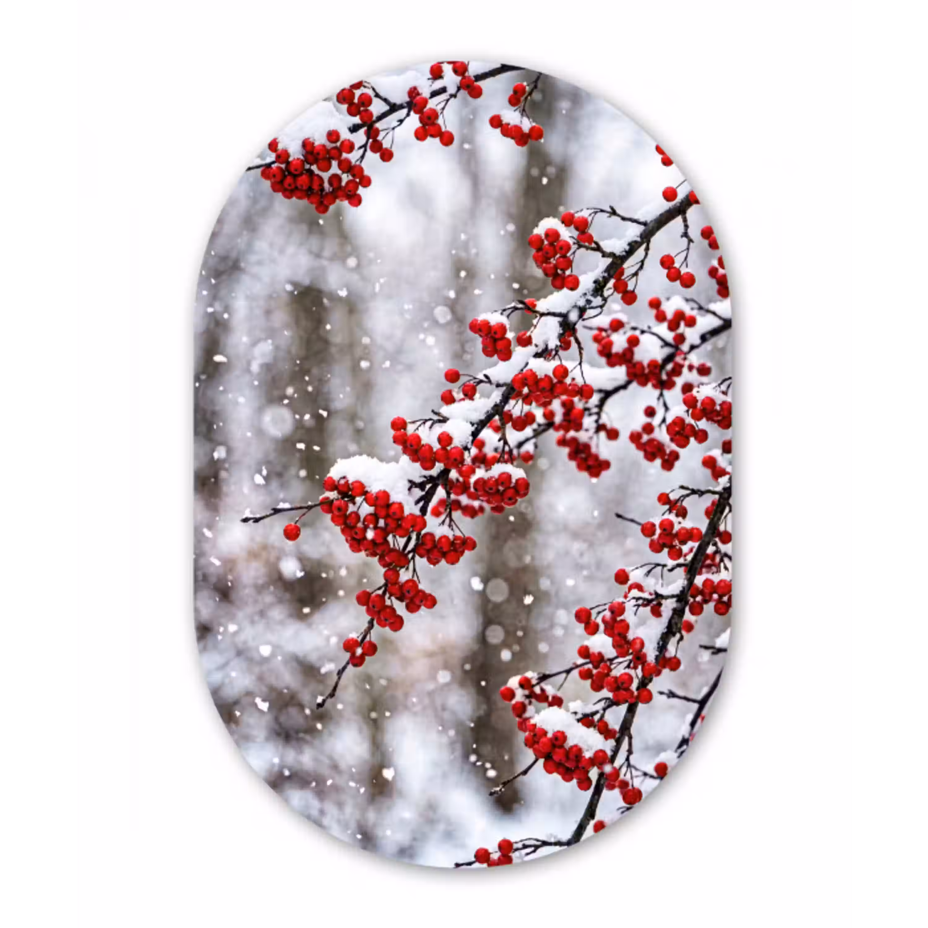 Bessen - Takken - Sneeuw - Winter - Kleurrijk Wandcirkel Ovaal Aluminium middel -3d