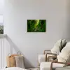 Jungle - Water - Bladeren - Zon - Natuur Tuinposter op houten frame 2 cm dik klein -sfeer1