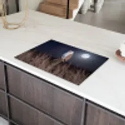 Kerkuil - Maan - Nacht Inductie beschermer vinyl 3mm klein -sfeer8