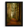 Bos - Natuur - Bomen - Landschap - Bladeren fotolijst zwart zonder passe partout klein -3d