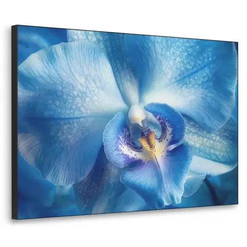 Blauw - Orchidee - Elegeant Textielframe zwart klein -3d