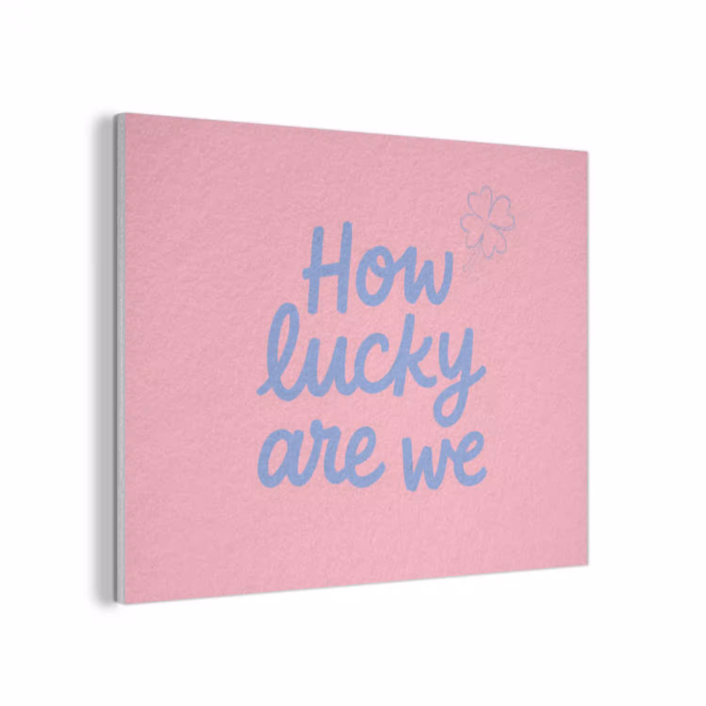 How lucky are we - Klavervier - Roze - Blauw PET vilt klein -3d
