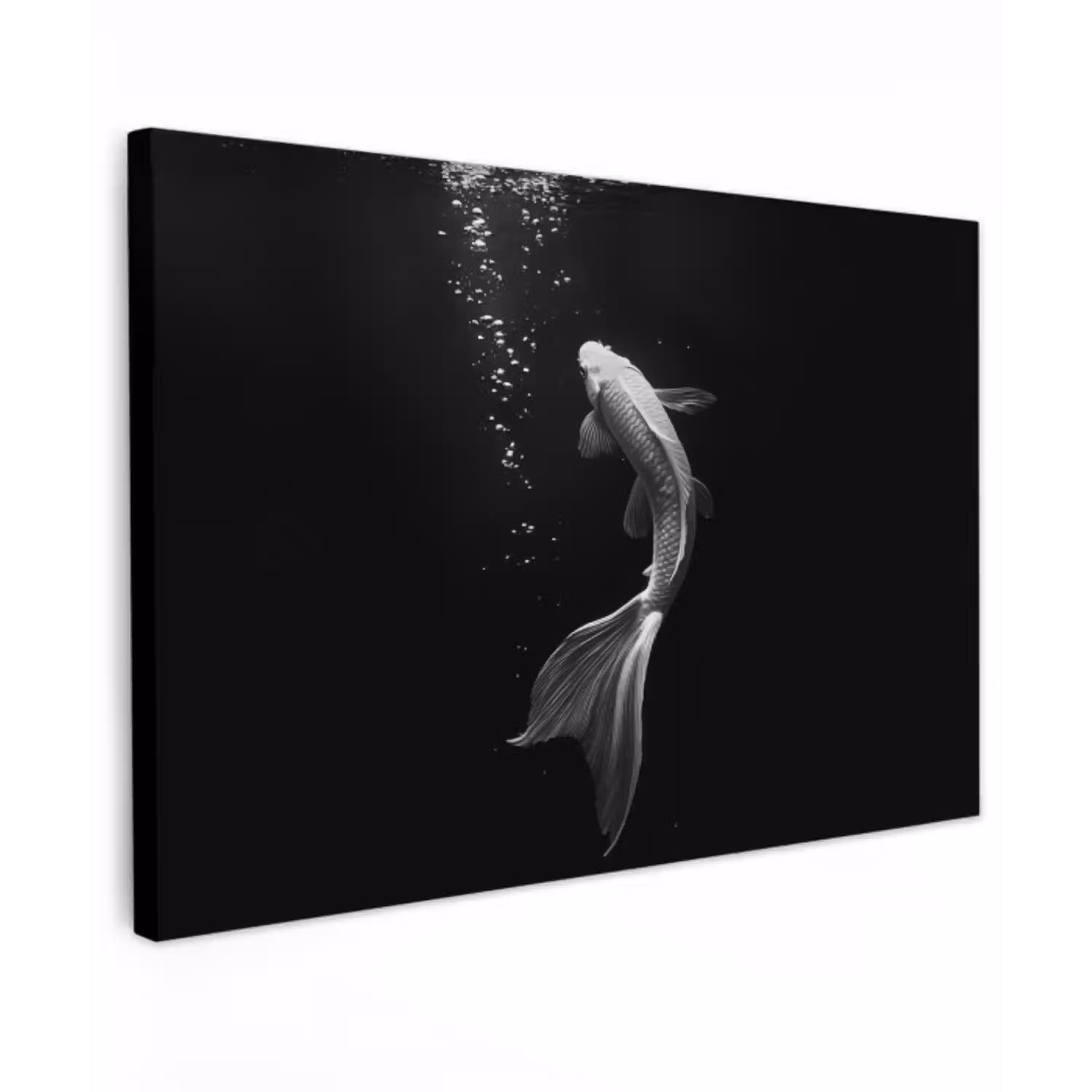 Koi - Vis - Wit - Zwart canvas 2cm klein -z3d