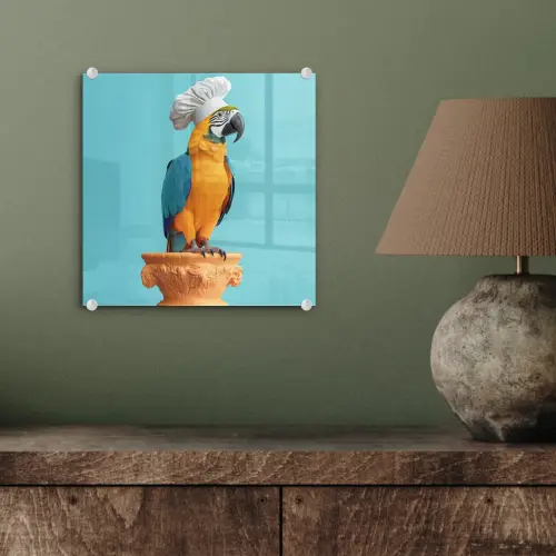 Papegaai - Koksmuts - Grappig - Vogel plexiglas 5mm klein -sfeer3