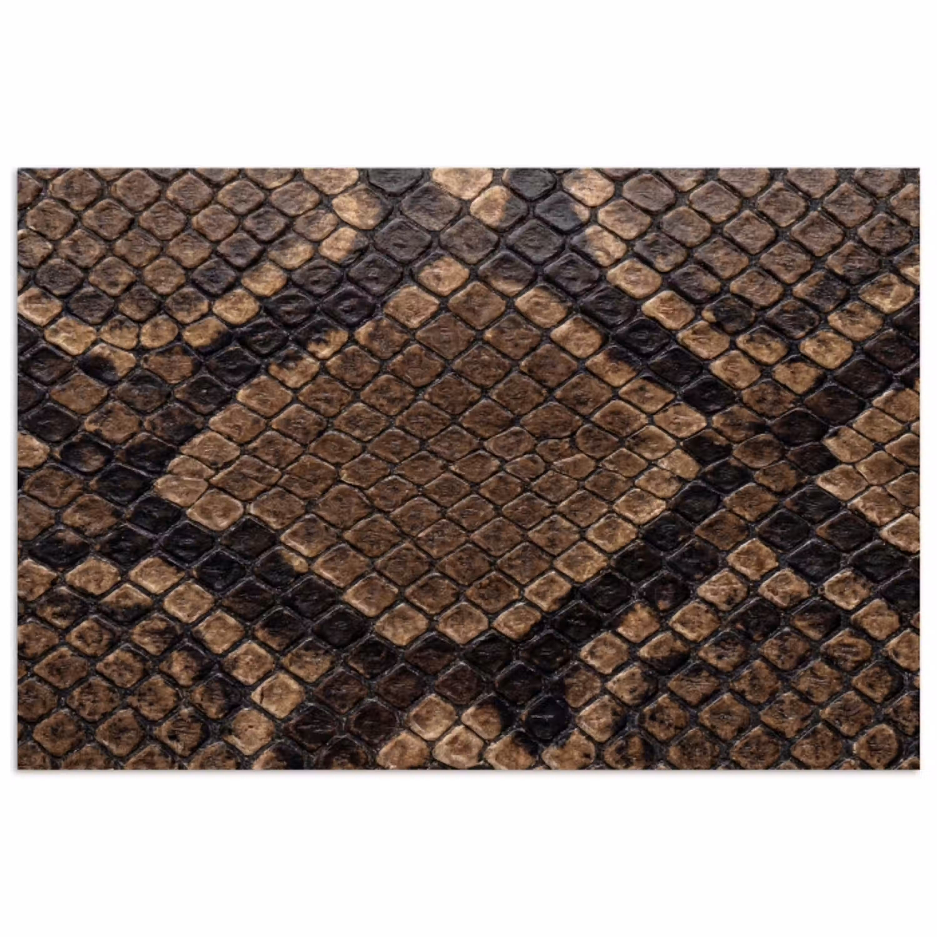 Python - Schubben - Brons poster papier klein -3d