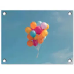 Ballonnen - Kleurrijk - Heldere hemel tuinposter los doek klein -3d