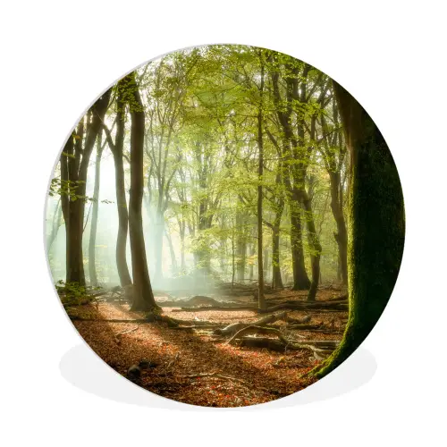 Bos - Zon - Seizoenen - Landschap Wandcirkel kunststof plaat 5mm dik klein -3d
