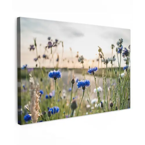 Bloemen - Zomer - Korenbloem - Blauw - Zon - Wolken Tuinposter op houten frame 2 cm dik klein -3d