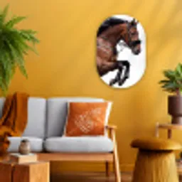 Paard - Springen - Modern Wandcirkel Ovaal Forex klein -sfeer4