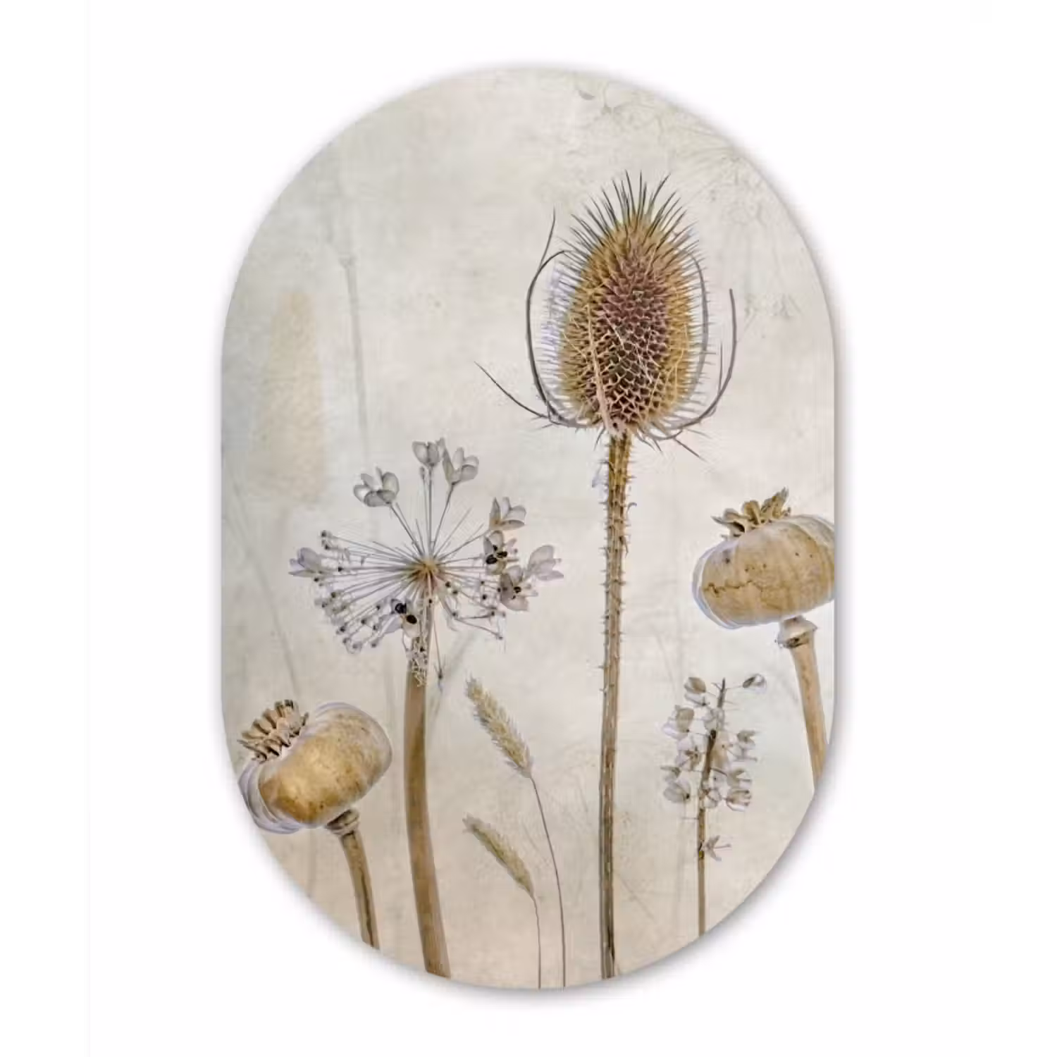 Muurovaal - Bloemen - Waterverf - Stilleven - Bruin - Vintage