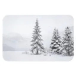 Fijnsparren - Sneeuw - Winter - Landschap - Stilte Badmat klein -3d