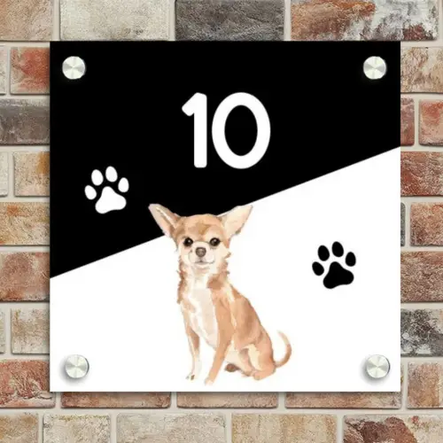 Zwart wit - Huisdier - Chihuahua Naambord Vierkant klein -sfeer2