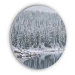 Bos - Reflectie - Meer - Winter - Serene Akoestische PET Vilt - Rond klein -3d