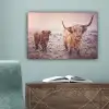 Schotse hooglanders - Licht - Lucht - Natuur canvas 2cm klein -sfeer4