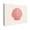 Schelp - Roze - Ribbels canvas 2cm klein -z3d