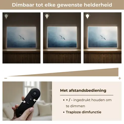 Meeuw - Wit - Zee - Mistig Light Box met batterij (Wandlamp) middel -USP_dimbaarNL