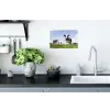 Koeien - Gras - Dieren - Zon - Boerderij Muursticker klein -keuken