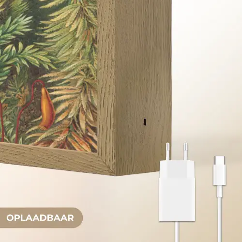 Oude meesters - Kunst - Muscinae - Haeckel Light Box met batterij (Wandlamp) middel -USP_websiteoplaadbaarNL