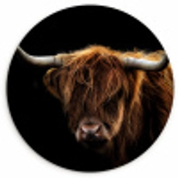 Schotse Hooglander - Horens - Zwart - Dieren - Natuur - Wild - Koe Wandcirkel kunststof plaat 5mm dik klein -3d