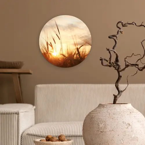 Riet - Gras - Zonsondergang - Natuur - Horizon Wandcirkel kunststof plaat 5mm dik klein -sfeer1