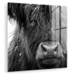 Schotse hooglander - Zwart - Wit - Sneeuwvlokken plexiglas 5mm klein -zzzproduct_nieuw