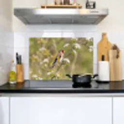 Putter - Bloesem - Lente - Natuur - Kleurrijk Inductie beschemer met haakjes klein -sfeer2