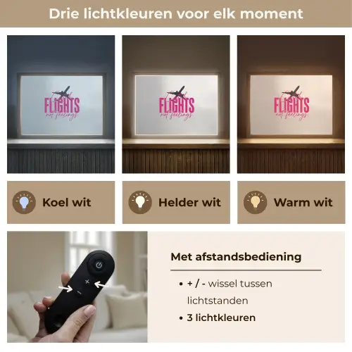 Catch flights not feelings - Vliegtuig - Roze Light Box met batterij (Wandlamp) middel -USP_lichtkleurNL