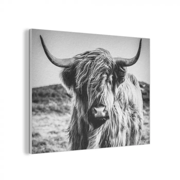 Schotse hooglander - Natuur - Koe - Zwart - Wit PET vilt klein -3d
