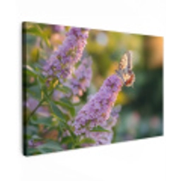 Sierlijke - Vlinder - Paarse - Bloemen Tuinposter op houten frame 2 cm dik klein -3d
