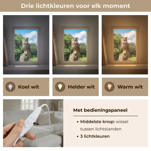 Uil - Boomstronk - Bos - Lucht Light Box met kabel (Tafellamp) klein -USP_lichtkleurNL