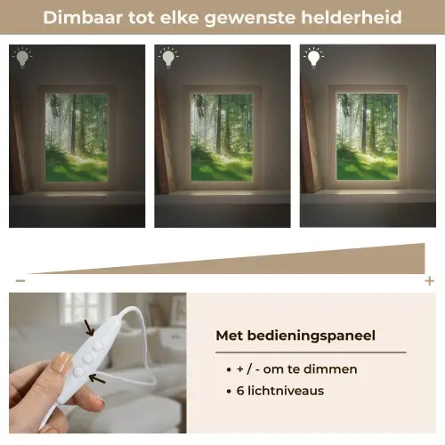 Natuur - Bomen - Bos - Groen - Zon - Gras - Planten Light Box met kabel (Tafellamp) klein -USP_dimbaarNL