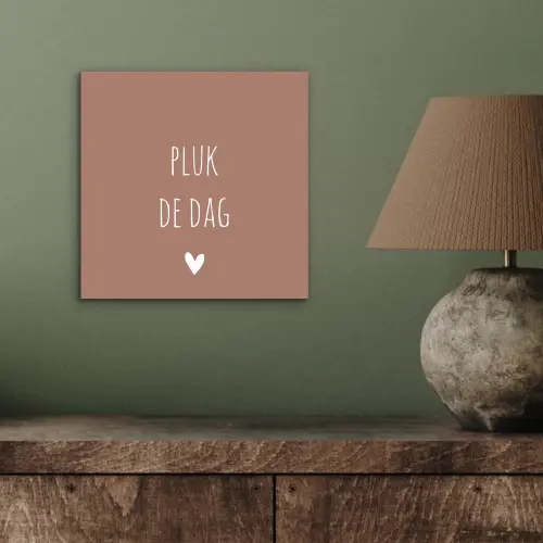 Quotes - Carpe diem - Pluk de dag - Spreuken aluminium wit klein -sfeer2