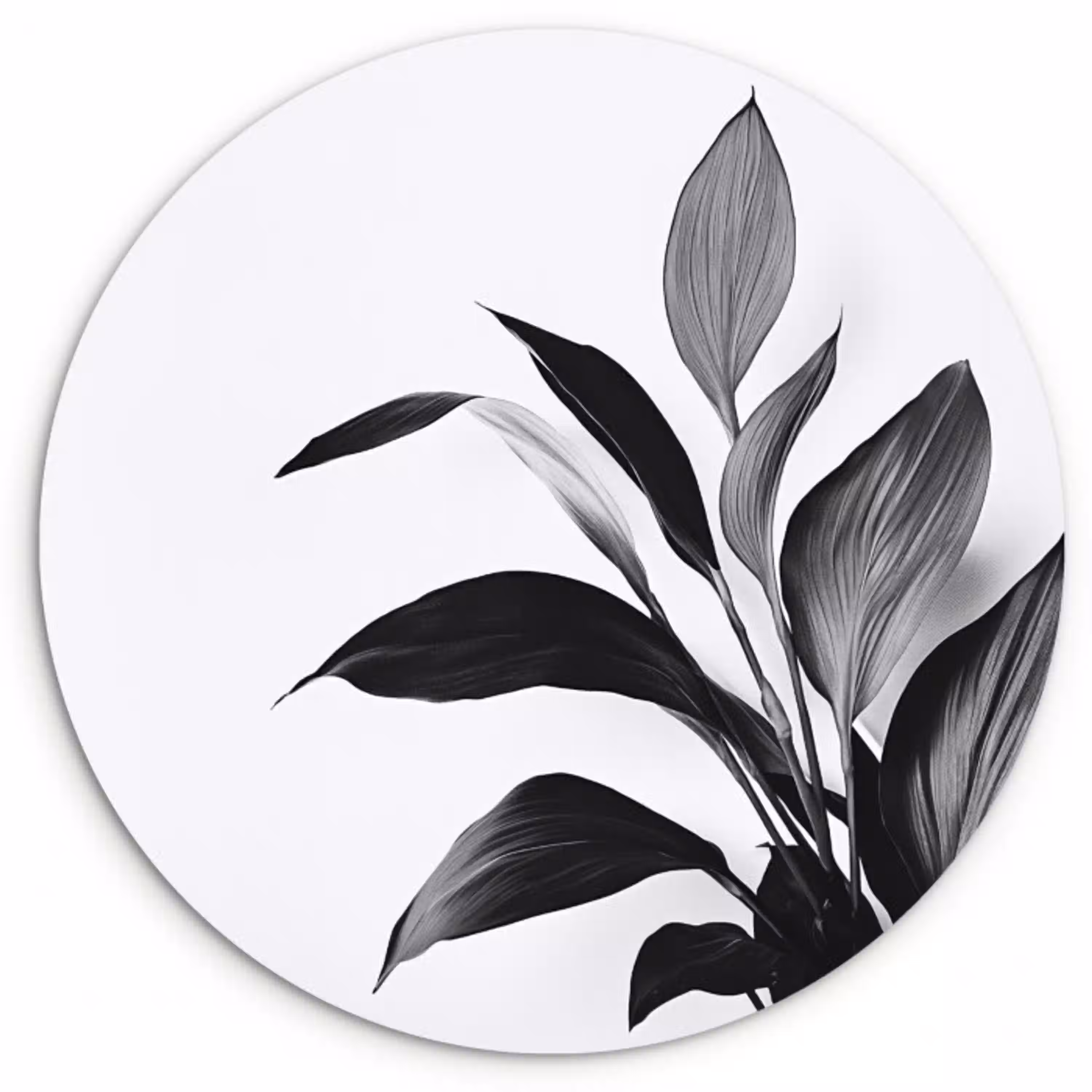 Plant - Bladeren - Minimalistisch - Zwart Wandcirkel plexiglas klein -3d