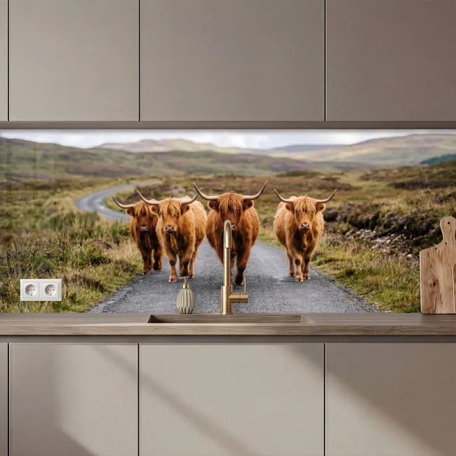Keuken achterwand - Schotse Hooglanders - Weg - Landschap - Kudde
